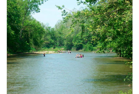 Kokosing Valley Camp & Canoe Ohio Kitty