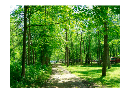 Kokosing Valley Camp & Canoe Ohio Friendly Staff